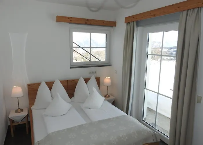 公寓 施瓦泽瑙尔公寓