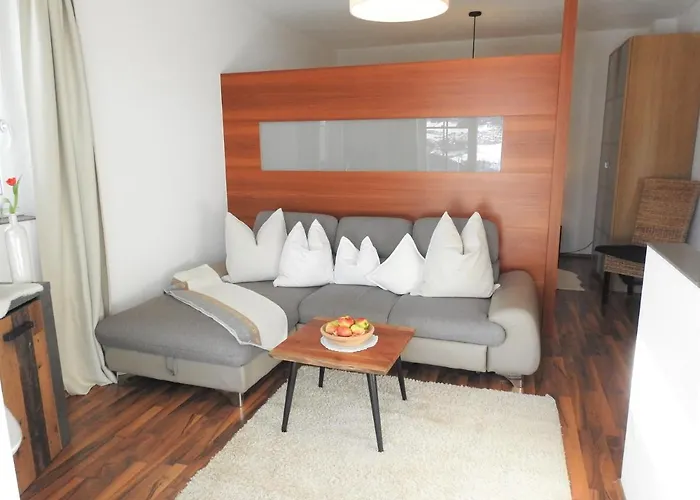 公寓 施瓦泽瑙尔公寓