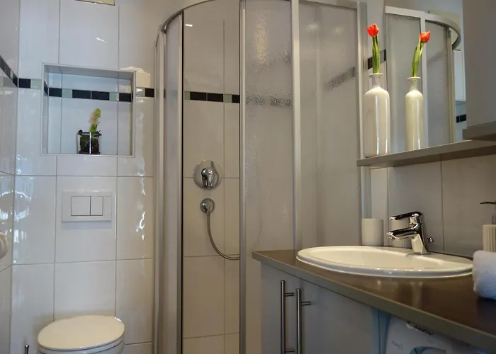 施瓦泽瑙尔公寓